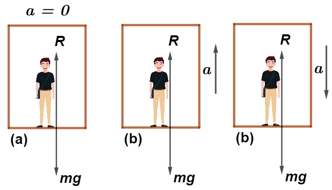 Newton's Third Law of Motion