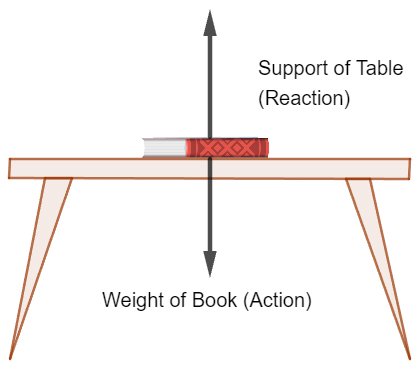 Newton's Third Law of Motion